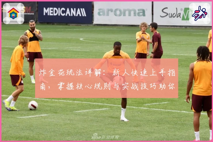 炸金花玩法详解：新人快速上手指南，掌握核心规则与实战技巧助你轻松取胜