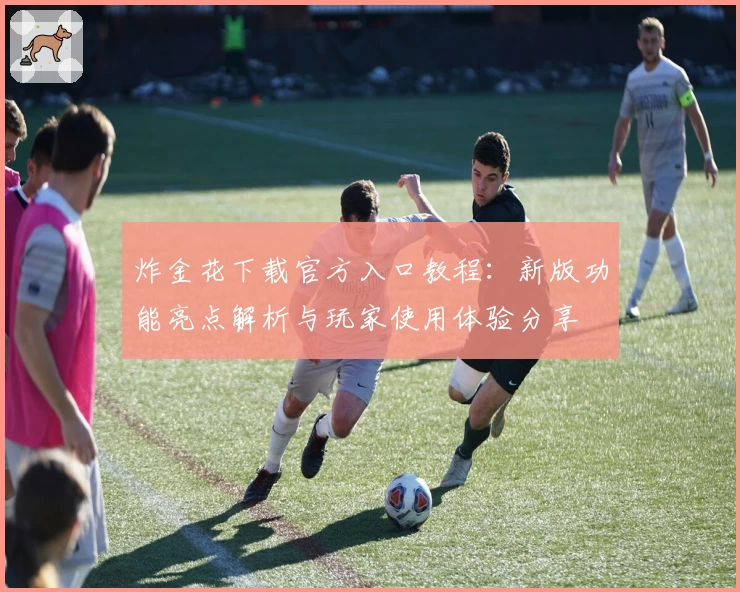 炸金花下载官方入口教程:新版功能亮点解析与玩家使用体验分享