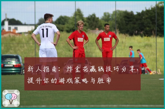 新人指南：炸金花赢钱技巧分享，提升你的游戏策略与胜率