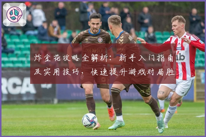 炸金花攻略全解析：新手入门指南及实用技巧，快速提升游戏对局胜率