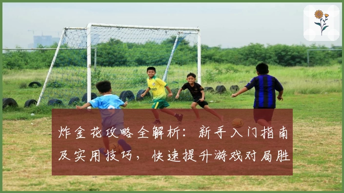 炸金花攻略全解析：新手入门指南及实用技巧，快速提升游戏对局胜率