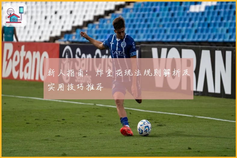 新人指南：炸金花玩法规则解析及实用技巧推荐