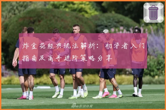 炸金花经典玩法解析:初学者入门指南及高手进阶策略分享