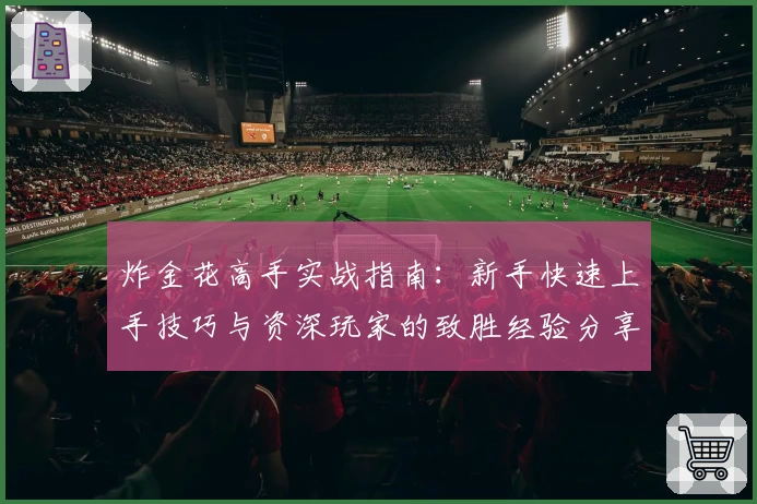 炸金花高手实战指南：新手快速上手技巧与资深玩家的致胜经验分享