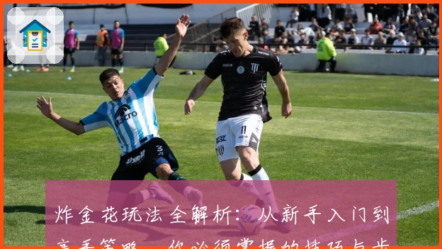 炸金花玩法全解析：从新手入门到高手策略，你必须掌握的技巧与步骤